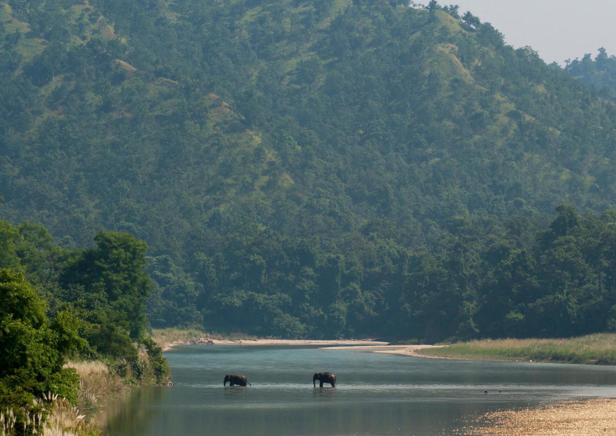 Tiger Tops Karnali Lodge Bardiya Екстер'єр фото