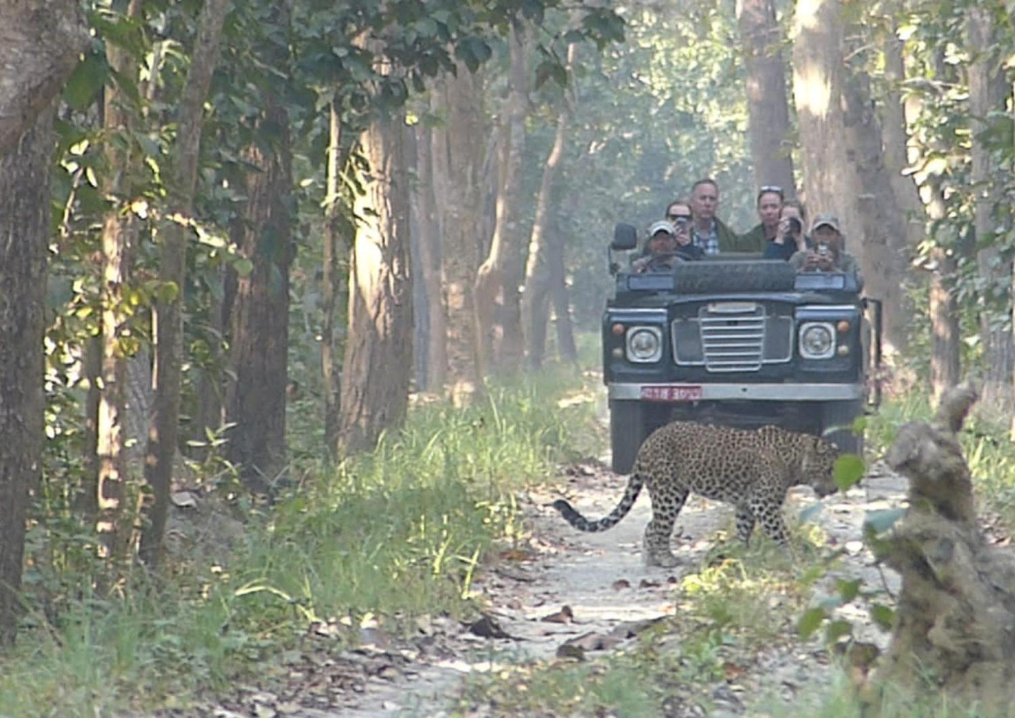 Tiger Tops Karnali Lodge Bardiya Екстер'єр фото